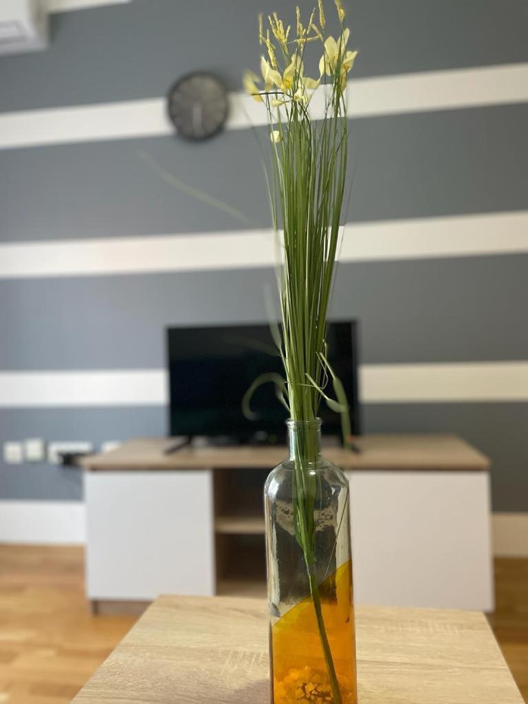 Naki Apartmani Podgorica Chambre photo
